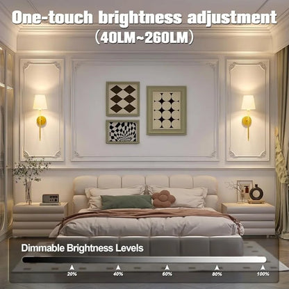 Wireless Rechargeable Wall Lamp – Dimmable Remote Control